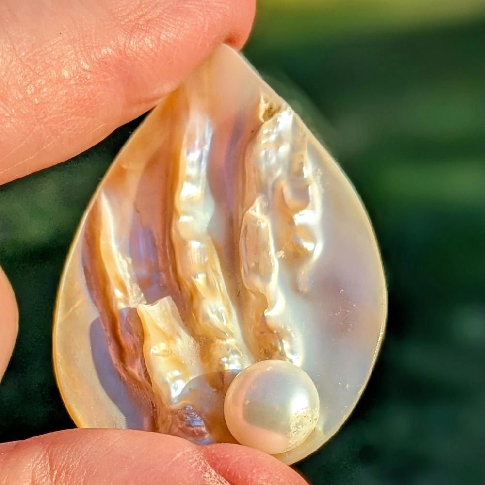 BIWA PEARL ON SHELL